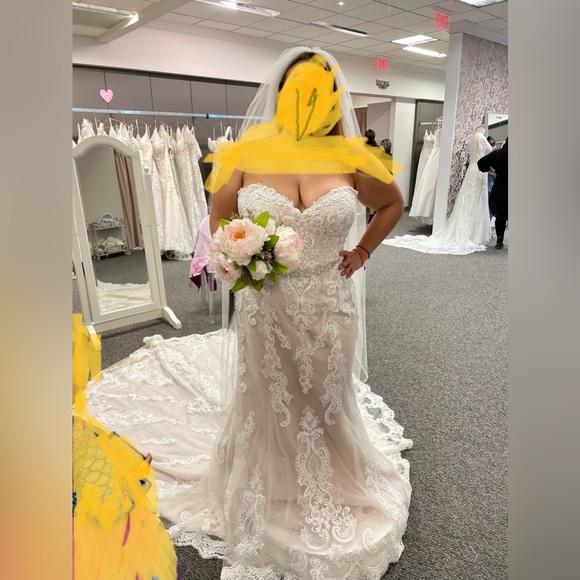 Maggie Sottero Clarette wedding gown - Picture 1 of 5